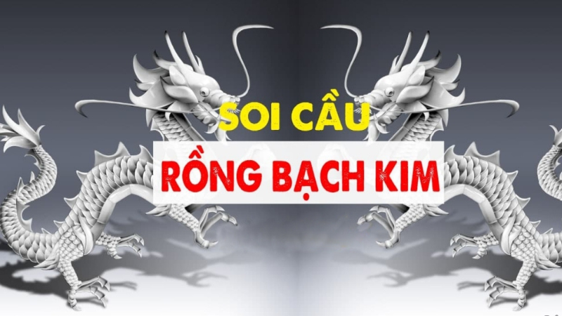 Soi Cầu Rồng Bạch Kim Bí Kíp